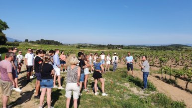 Met de vinologiestudenten op wijnreis naar Frankrijk