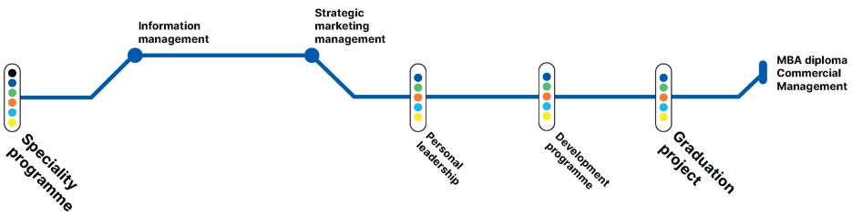 Master in Commercial Management