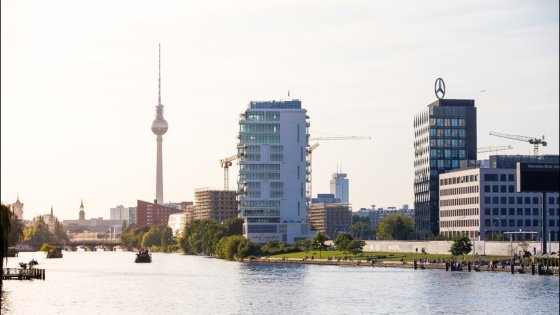 Business projects at Tio