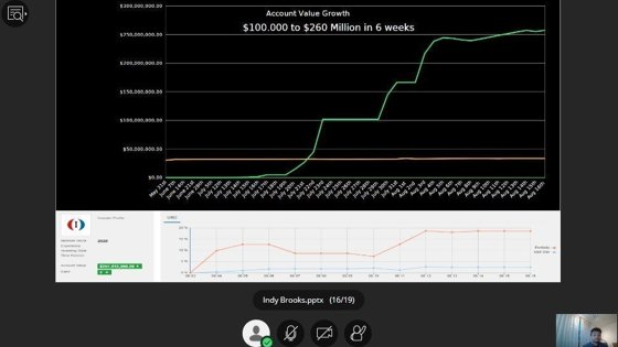 Online investors final