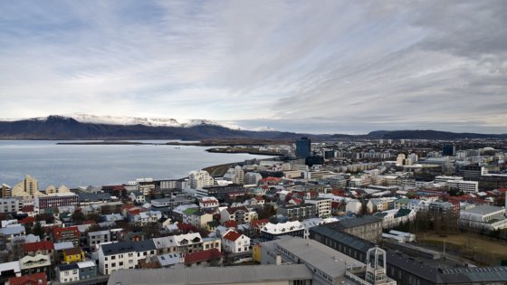 Traineeship in Reykjavik while studying at Tio