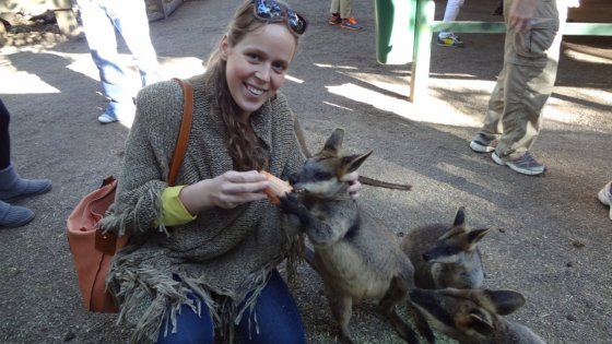 Learning by doing at Tio