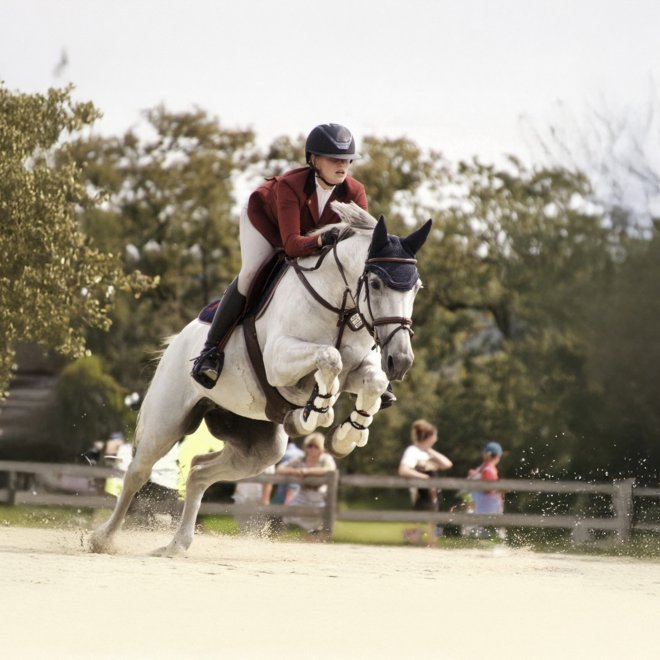 Paardentopsport bij Tio Business School