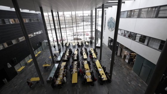 Studying abroad for a semester